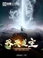 吞天道主TXT