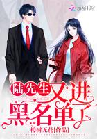 书名叫陆先生又进黑名单了