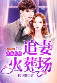 总裁囚妻100天免费阅读