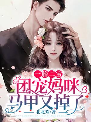 一胎二宝团宠娇妻