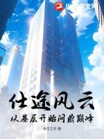 仕途之风云再起百度百科