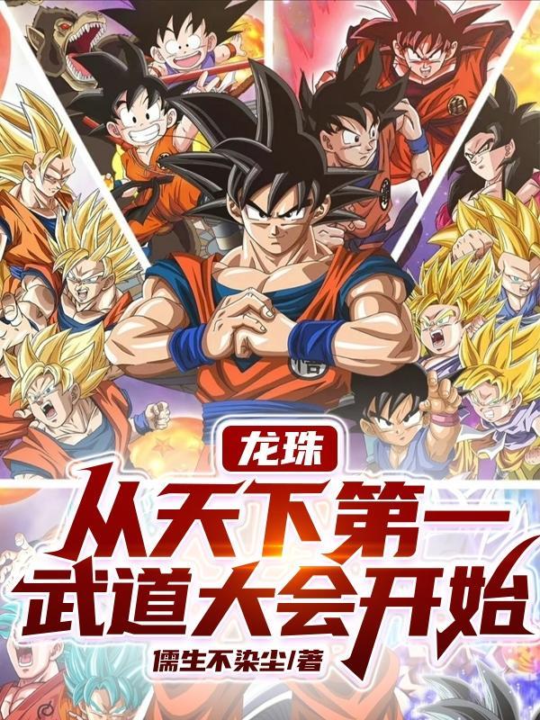 龙珠神之气设定