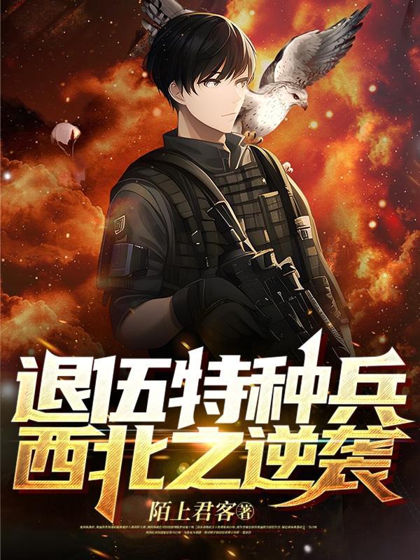 退伍特种兵在都市