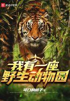 我有一座野生动物园起点