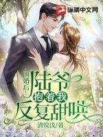 陆少的心尖宠全文免费阅读