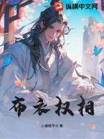 布衣权相短剧全集