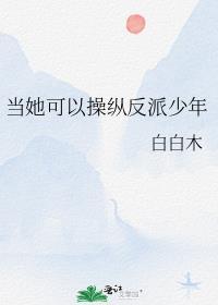 当她可以操纵反派少年晋江