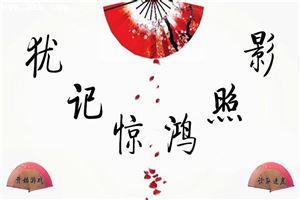 犹记惊鸿照影来 徽羽