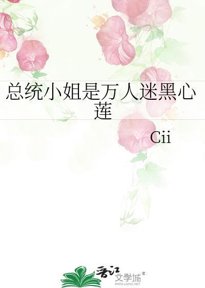 总统的小夫人免费阅读