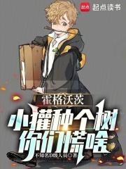 你们慌啥免费阅读