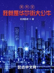 美国华尔街巨头