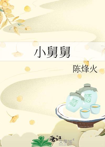 小舅舅电视剧哪些