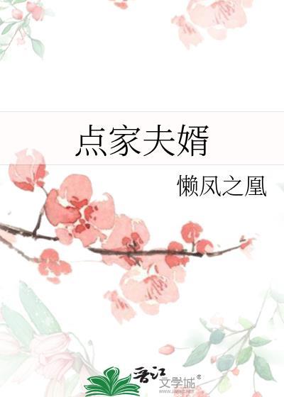 点家夫婿免费阅读