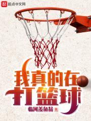 我真的在打篮球 最新章节 无弹窗