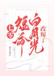 年代文短命白月光改嫁了免费阅读