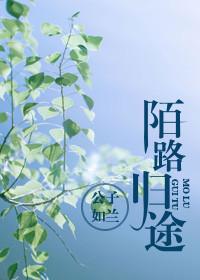 陌路归途短剧全集免费