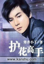 绝世护花高手