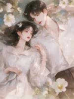 妻子再次提离婚