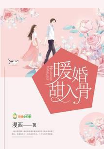 暖婚甜入骨TXT