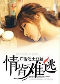 情劫难逃的上一句