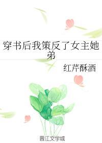 穿书后我策反了女主她弟好看吗