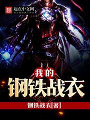 我的钢铁战衣精校版txt