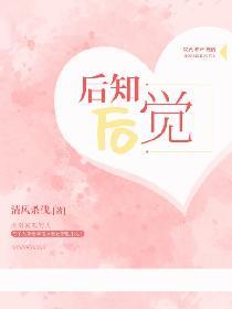 招惹电视剧免费观看全集完整版