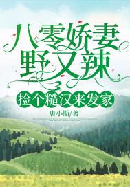 八零娇妻野又辣捡个糙汉来发家