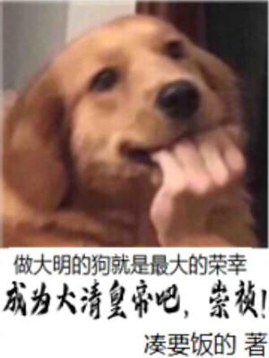 成为崇祯的