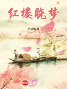 红楼窃玉笔趣阁免费阅读