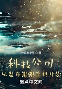 鲲鹏科技有限公司是做什么的