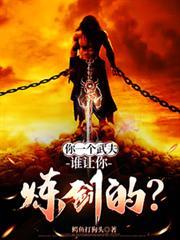 你一个武夫谁让你炼剑的境界划分