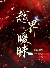 越界暧昧周易免费阅读