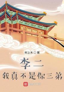 家兄李世民TXT免费阅读