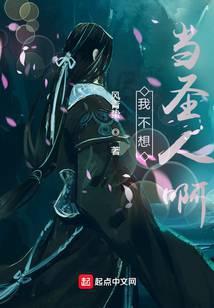 我不想成为圣师