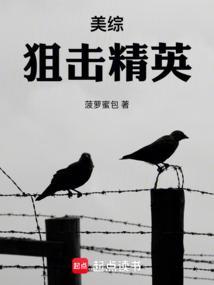 美国狙击精英电影