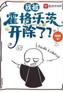 我被霍格沃茨开除了的英文