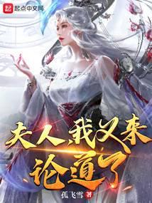夫人我又来论道了txt