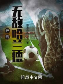 开局无敌哈兰德百度