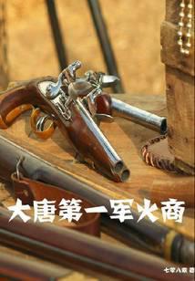 大唐第一军火商精校TXT