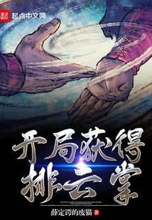 开局获得排云掌txt