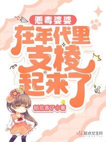 恶毒婆婆电视剧