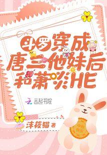 斗罗穿成唐三他妹后和萧炎HE