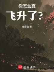 飞升护符怎么获得