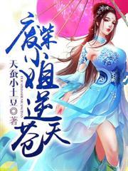 废柴小姐逆苍天 txt