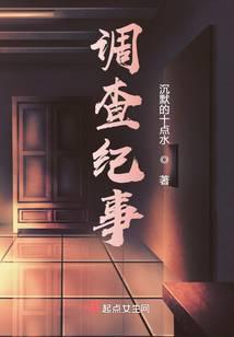 调查记事是什么