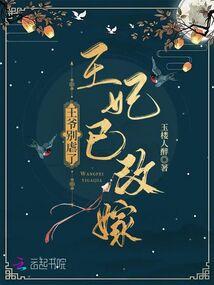 王妃已改嫁短剧推荐