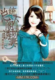 总统阁下的夫人