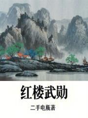 红楼武勋无防盗笔趣阁