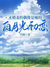 我的未婚妻是偶像